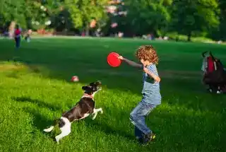 Pet Park at Hiranandani Krisala Township